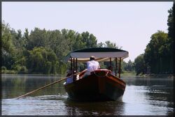 Jezioro Wilanowskie