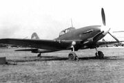 IL-10 01