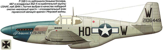 File:11 Mustang 487 FS 352FG.jpg