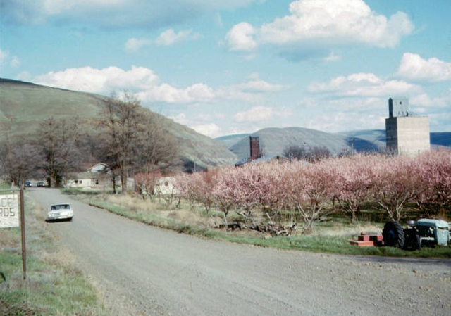 File:Penewawa1967hist.png