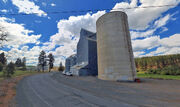 Pinecitysilos