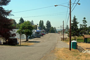 Ajmccusamiltonoldtown