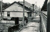Winton1950