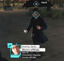 Blume affiliate profiled-0