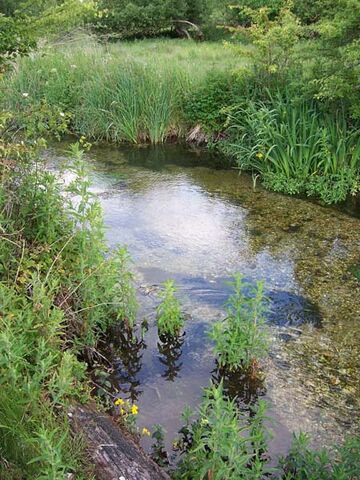 File:Chalkstream.jpg