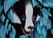 Watership Down Badger
