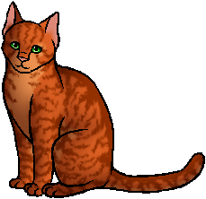 Firestar Warrior Cats Wiki Firestar Warrior Cats Wiki