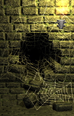 Black spider hole