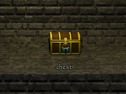 Chest