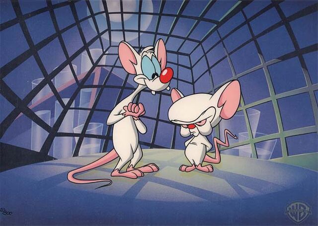 File:3 Pinky-Brain-Cage.jpg