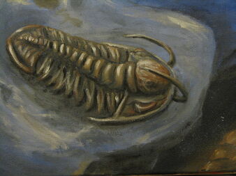 Mongolian trilobite close up by velociraptor077-d2zk2dr