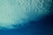 Cirrocumulus