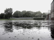 800px-Raindrops