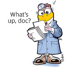 File:6141163016 3664882f74 m.jpg