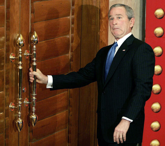File:Bush.jpg
