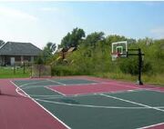 ANT's Basketball Court