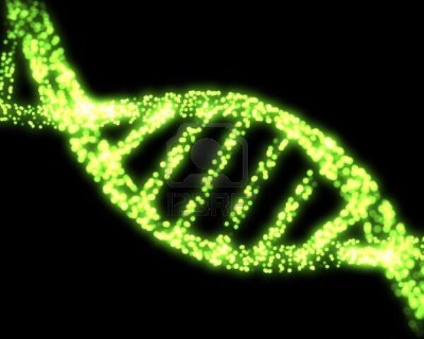File:Dna green.jpg