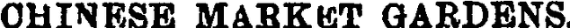 File:MARLBOROUGH EXPRESS, VOLUME XXXII, ISSUE 257, 24 NOVEMBER 1897.gif