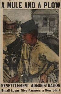 Muleandplow.jpg