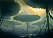 MushroomForest.jpg