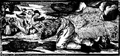 Thumbnail for version as of 02:39, June 12, 2011