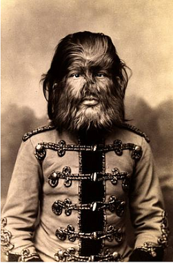 Fedor-Jeftichew
