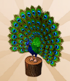 Peacock Pedestal