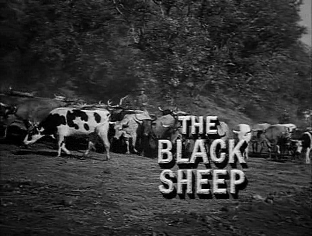 File:The Black Sheep.png