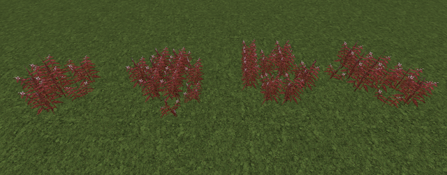 File:Fireweed.png