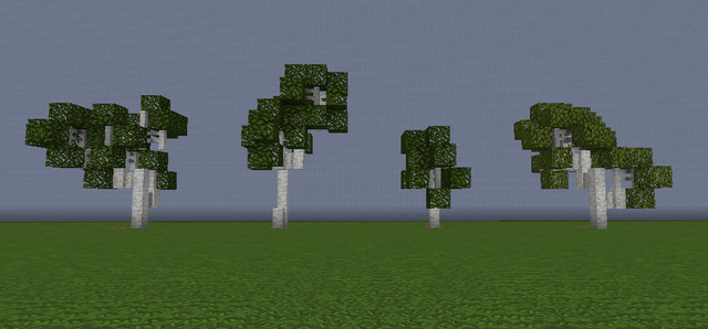 File:CarcSmallBirch.png