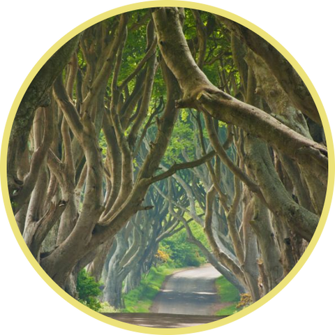 Plik:Badge-picture-7.png