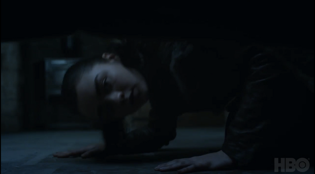 Plik:Arya s7 4.png