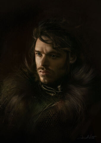 Plik:Robb Stark.jpg