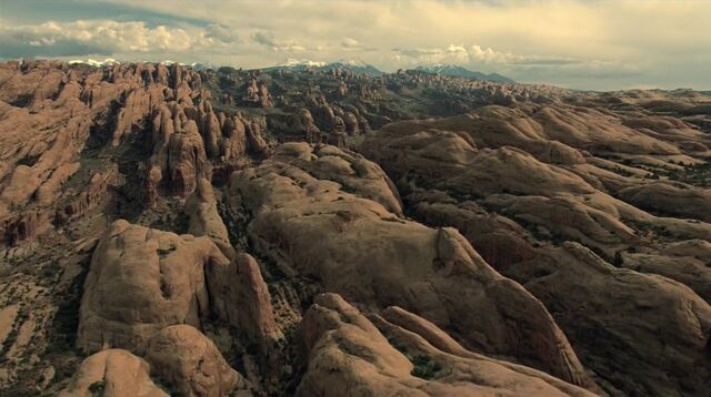 File:The Stray landscape.jpg
