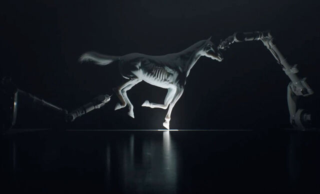 File:Horse crop.jpg