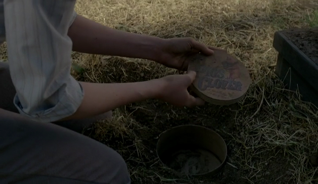 File:Pigs Clover.png