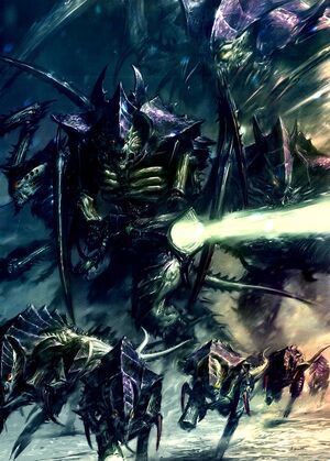 Warior tyr