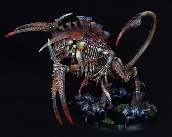 Dimachaeron 2.jpg