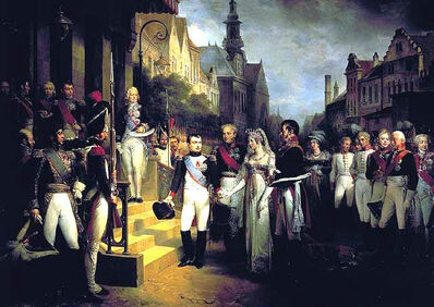 Napoleon Arrives in Vienna