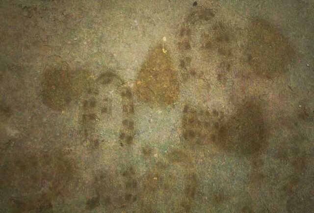 File:S3-WIEB-bootprints10.jpg