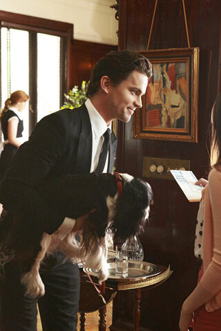File:5x05-NealDog.jpg