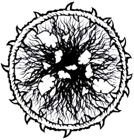 File:GangrelMara.png