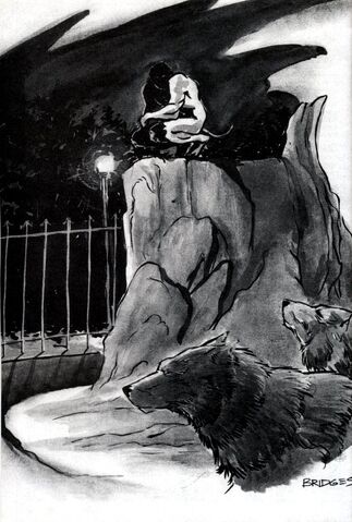 File:BookGangrel007.jpg
