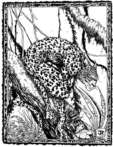 File:Amazonian Balam.jpg