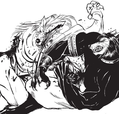 File:Albrecht VS Mari 2.jpg