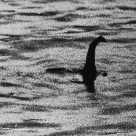 File:Loch ness monster.jpg