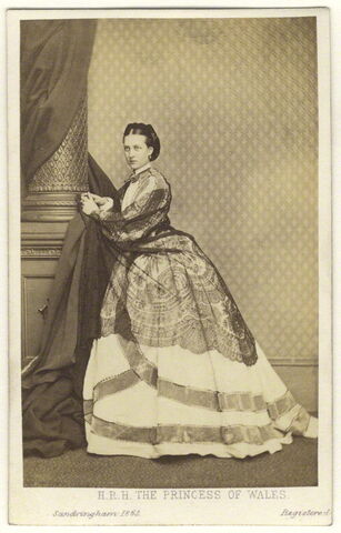 Plik:Mw113510.jpg