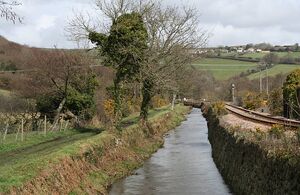 Atlantic Coast Line 1.jpg