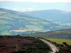 Devon 02.jpg