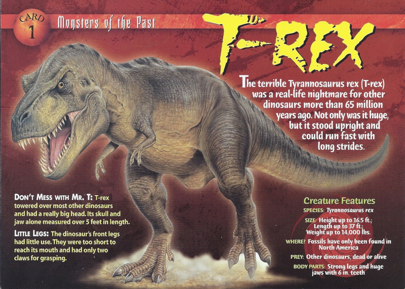 T rex card games free T rex card games free